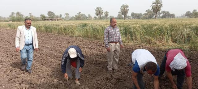 الزراعة