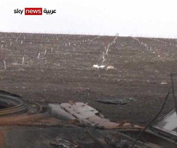 مشاهد لبقايا قاعدة عسكرية روسية مدمرة في خاركيف الأوكرانية.. فيديو