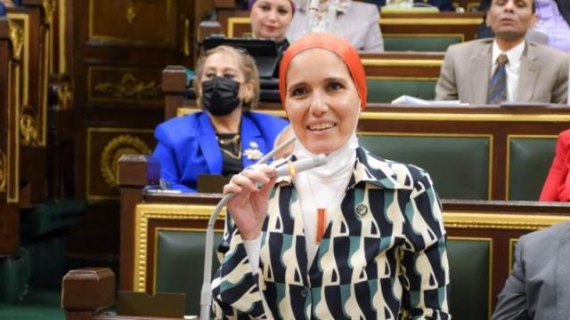 النائبة شيماء حلاوة