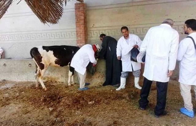 تحصين أكثر من 5.3 مليون جرعة ضد مرضى الحمي القلاعية والوادي المتصدع