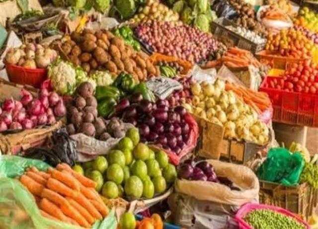 نقيب الزراعيين يطالب بتدخل رئاسي لحل مشاكل استيراد تقاوي الخضر  من الخارج