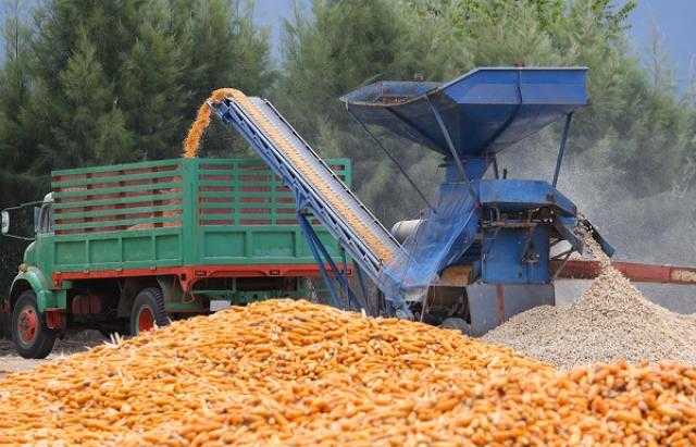 «الزراعة»: إجراء تجارب جديدة على خامات الأعلاف غير التقليدية