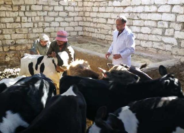 أرشيفية 
