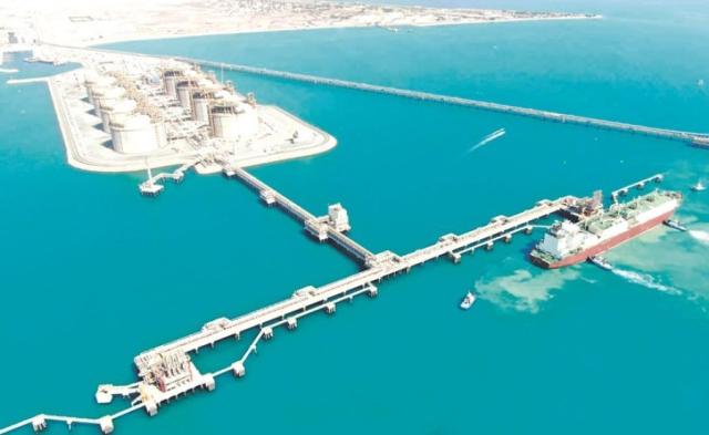 حقل الدرة