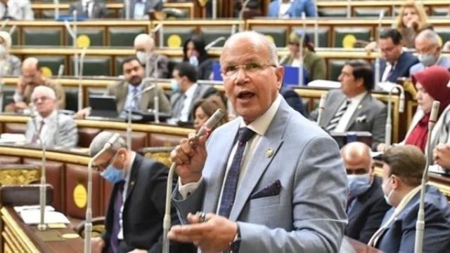 النائب السيد شمس الدين 