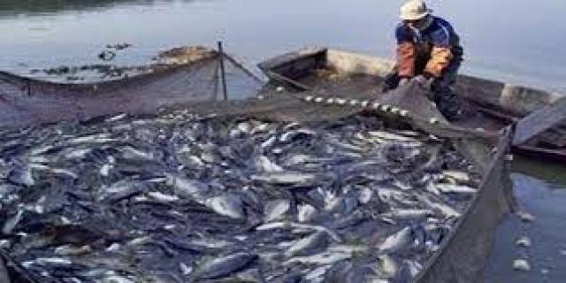 بحيرة ناصر