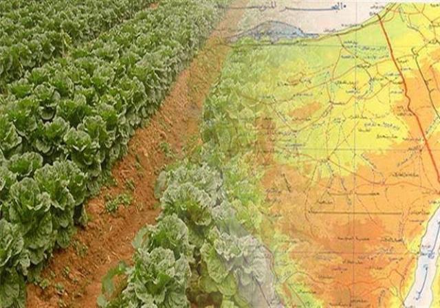 انفوجراف| بمناسبة عيدها القومي: هنا أسيوط.. حضارة وتراث وزراعة