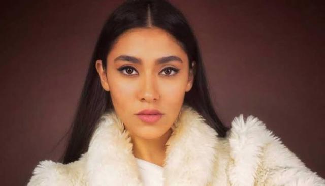من هي الفنانة زيزي عادل التي أعلنت اعتزالها؟