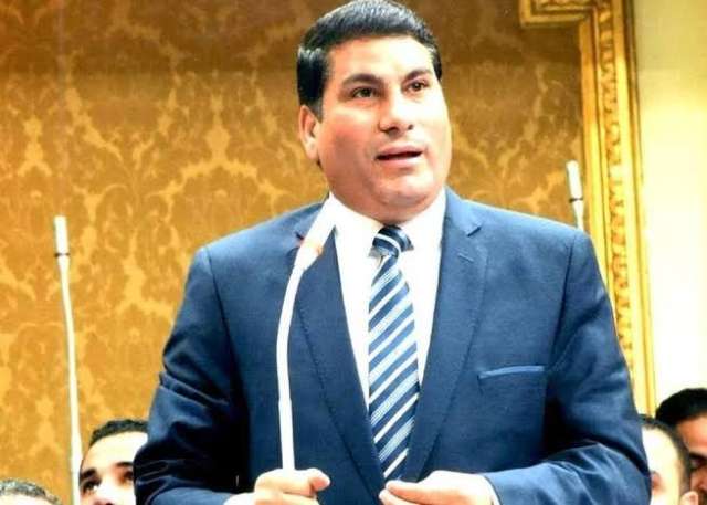 النائب على بدر
