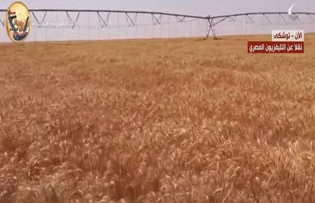 صوة من مقطع الفيديو