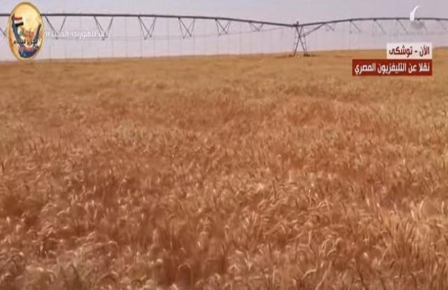 أول تصوير جوي لمشروع توشكى ومحصول القمح تزامنا مع انطلاق موسم حصاده «فيديو»
