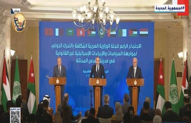 أبو الغيط: نعطي اجتماع اللجنة الوزارية العربية أكبر قدر من الزخم الدولي