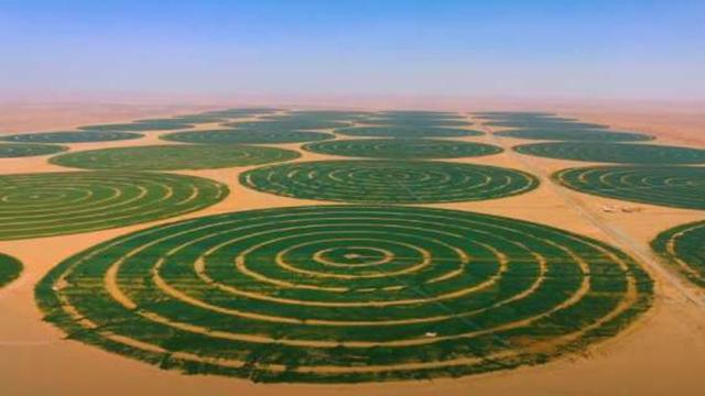مشروع توشكى