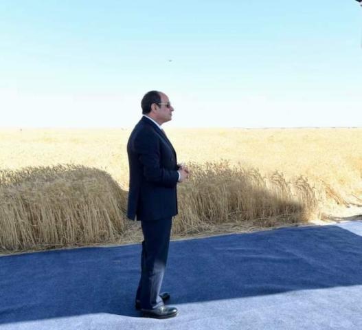 السيسي