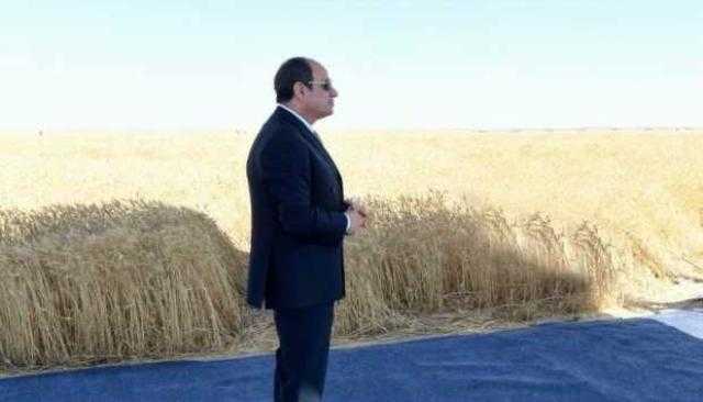 الزراعة: «الرئيس حول الصحراء لذهب أصفر»