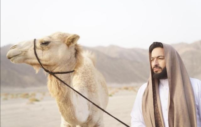 حماده هلال 