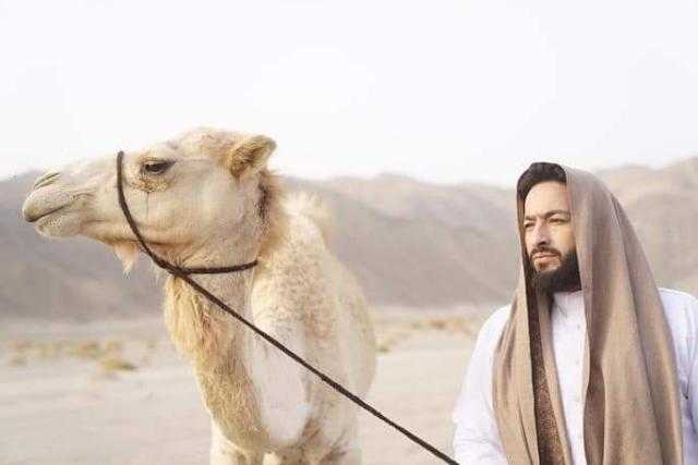 المداح 2 الحلقة 23.. تورط حمادة هلال في جريمة قتل.. والإبل كلمة السر