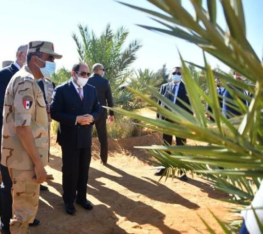 الزراعيين: جهود السيسي المخلصة وراء نجاح موسم حصاد القمح في توشكى