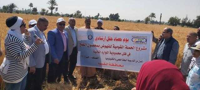 الزراعة تنظم يوما موسعا لحصاد القمح في الفيوم