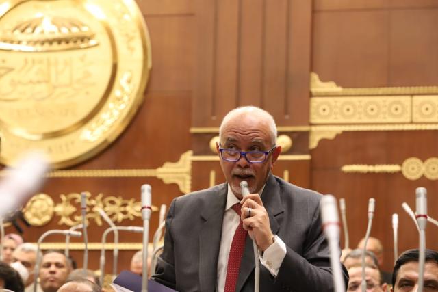 النائب حازم الجندي