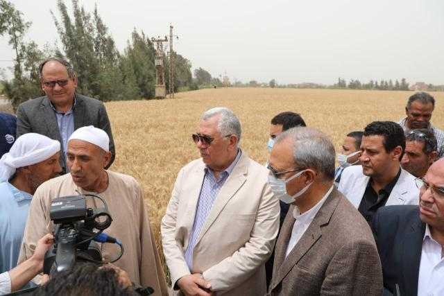وزير الزراعة ومحافظ القليوبية يتفقدان حقول القمح بقها وبنها