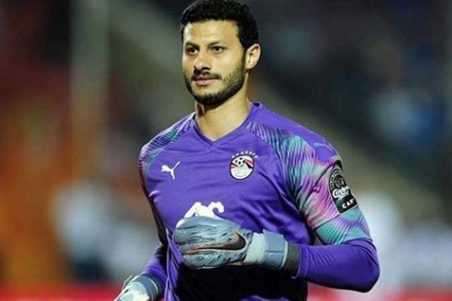 محمد الشناوي 