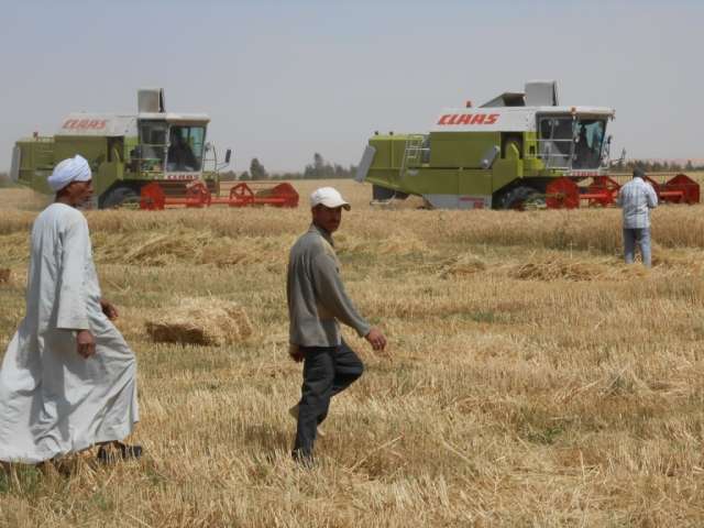 مشروع توشكى الخير