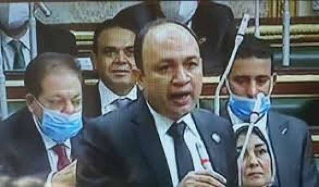 النائب أحمد أبو زيد