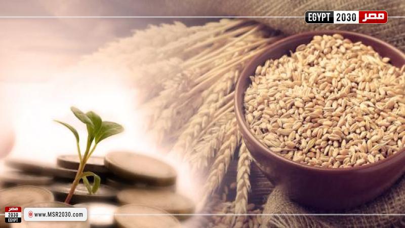 زكاة الفطر (تعبيرية)