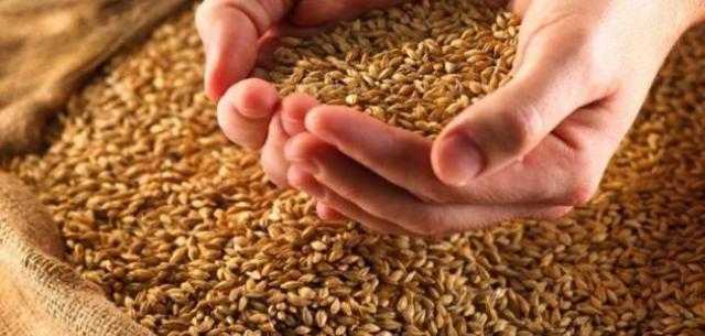 تعرف على طريقة حساب قيمة زكاة الفطر