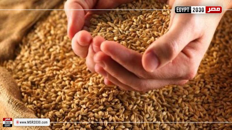 اعرف طريقة حساب قيمة زكاة الفطر 