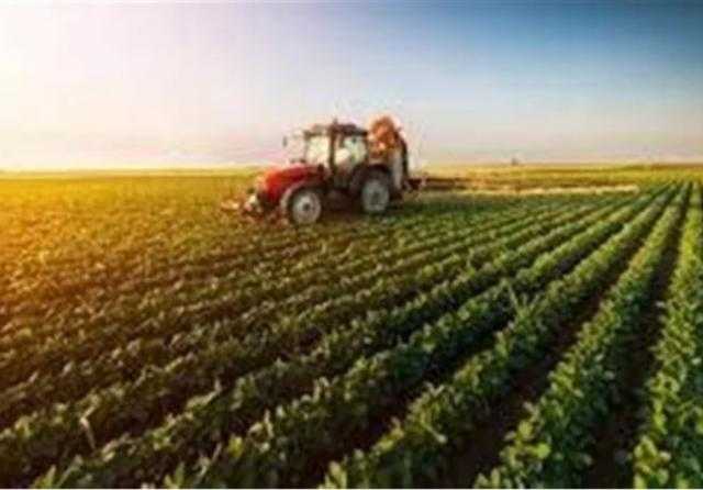 خبير اقتصادي يزف بشرى سارة للمواطنين