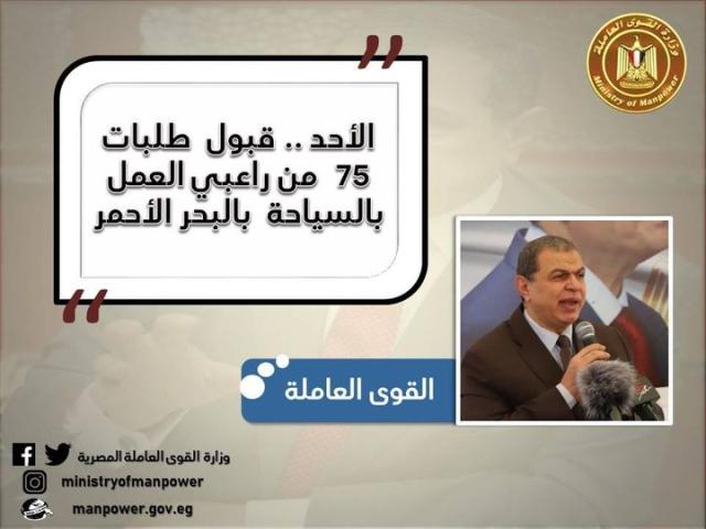 القوى العامله