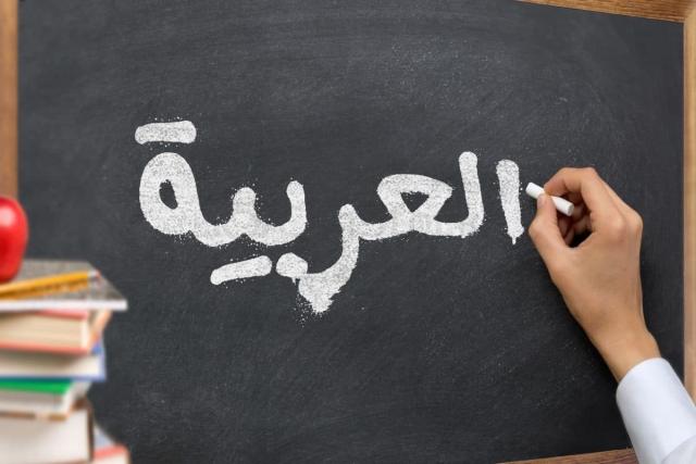 اللغة العربية 