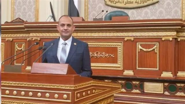 النائب هشام الجاهل 