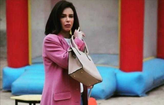 دنيا عبد العزيز تستطلع رأي جمهورها في «ملف سري»