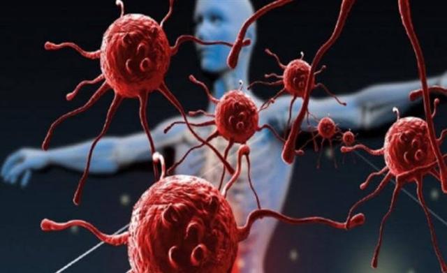 بالفيديو.. تعرف على خلايا «التعلم من الأخطاء» وأماكن تواجدها