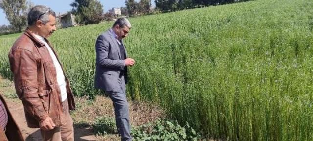 مصر 2030