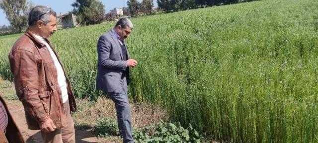 تفاصيل ضبط 5 أطنان أسمدة زراعية مجهولة المصدر بالشرقية