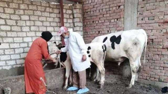 «الزراعة»: نعمل على زيادة دخل الأسر الريفية بهذه الطريقة