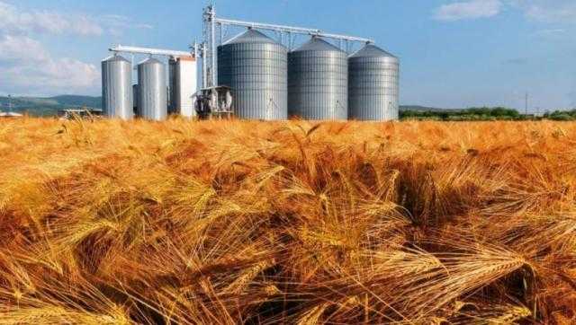 أجهزة الأمن تحبط تهريب 25 طن قمح محظور تداولها بالفيوم