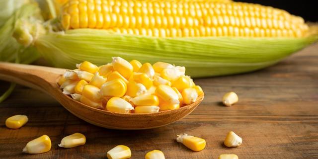 تعرف على أسعار الذرة اليوم الأحد لدى التجار