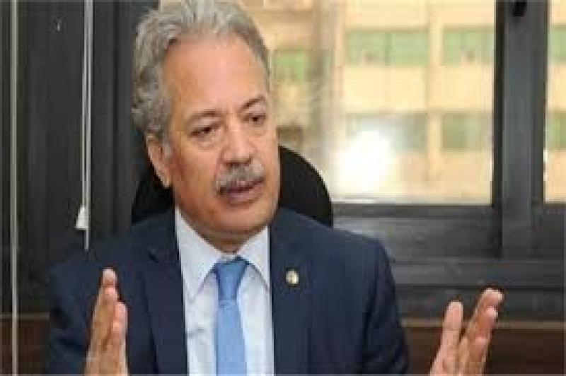 عصام شيحة، رئيس المنظمة المصرية لحقوق الإنسان