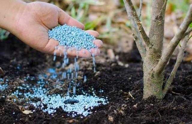 أسعار الأسمدة اليوم 16-5-2022 لدى التجار محليًا