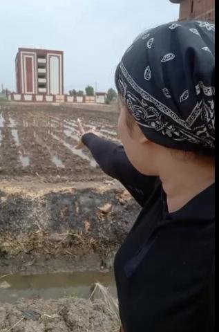 فتاة تستغيث من سطو بلطجية على أرض والدتها: هاتولي حق أمي  «فيديو»