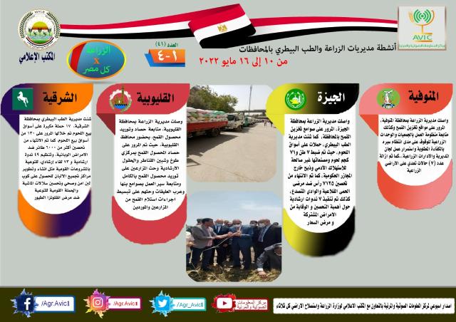 مصر 2030