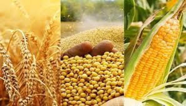 اتفاقية أوكرانية بولندية لتسهيل التفتيش على صادرات الحبوب