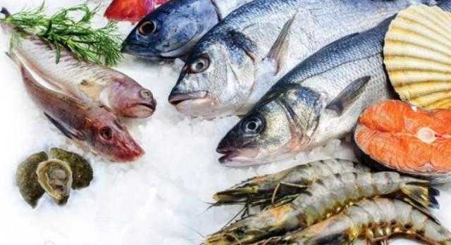 أسعار الأسماك اليوم السبت للمستهلك.. «البلطي بكام»