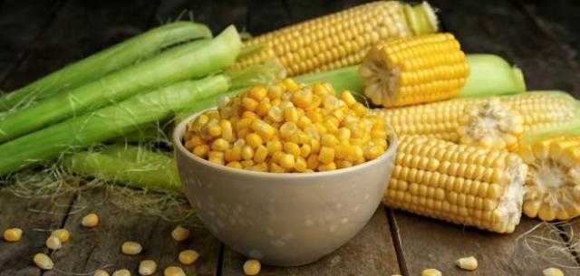 120 جنيهًا انخفاضًا في سعر طن الذرة اليوم الخميس 19 مايو