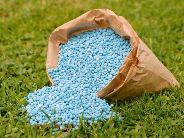 أسعار الأسمدة اليوم